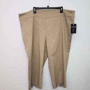 Zac & Rachel 24W Beige Cropped Pants